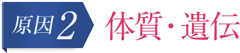 原因2　体質・遺伝