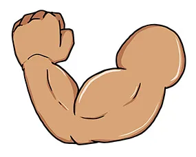 腕の筋肉量の増加